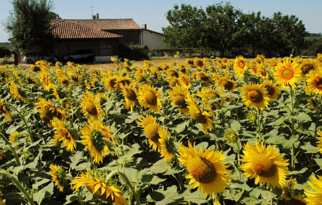 Gite D'En Pouillac Saint-Thomas  Dış mekan fotoğraf